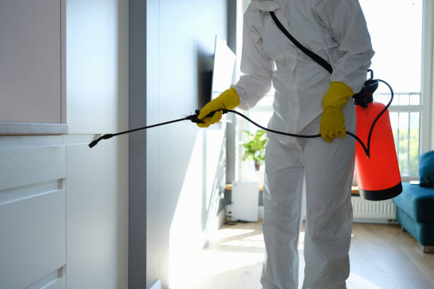 Best Mold Removal Specialists  in Iowa Falls, IA