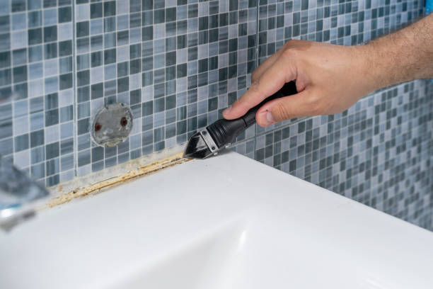 Best Professional Mold Removal  in Iowa Falls, IA